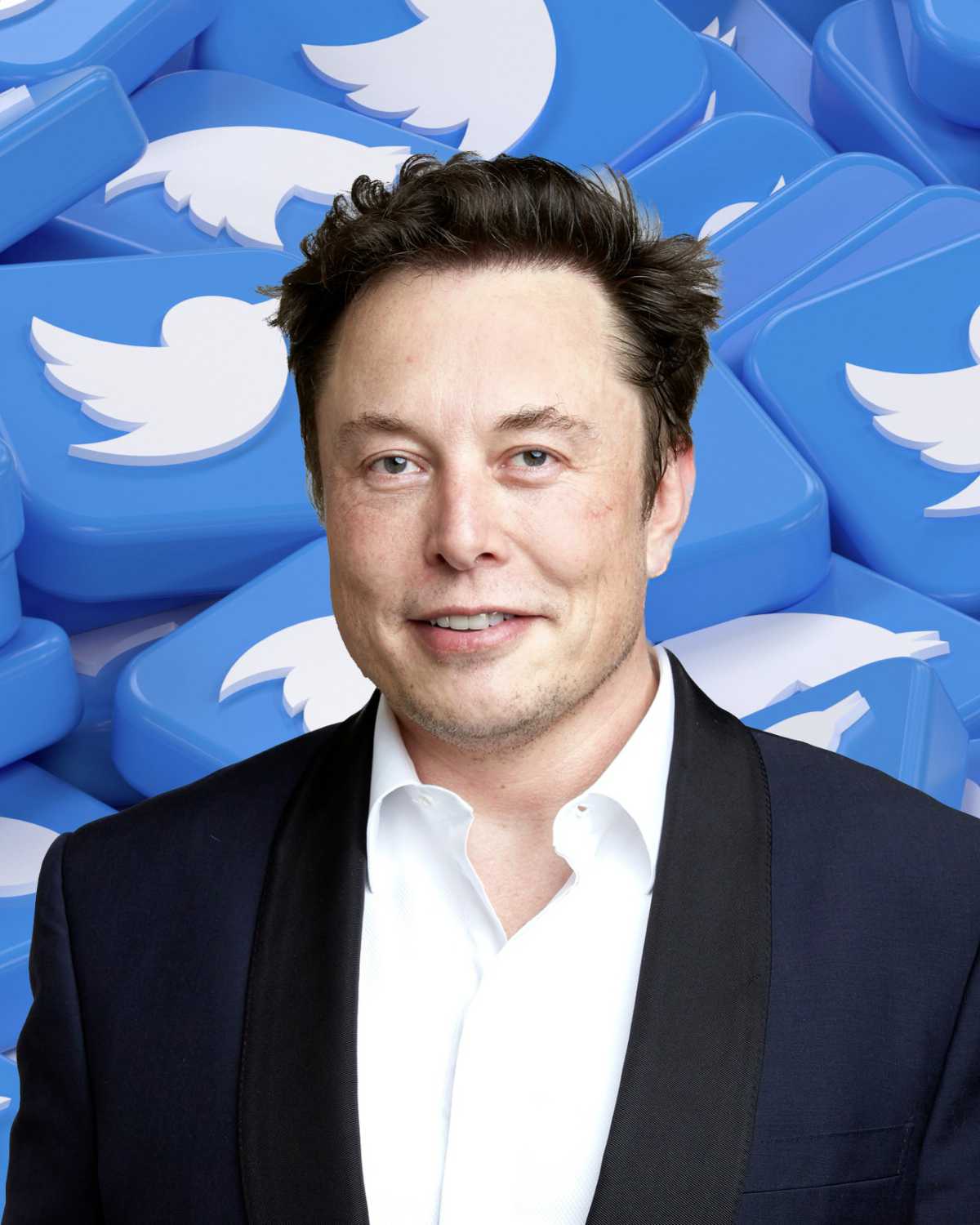 Elon Musk will von Twitter-Nutzern 8 US-Dollar pro Monat für die Verifizierung verlangen